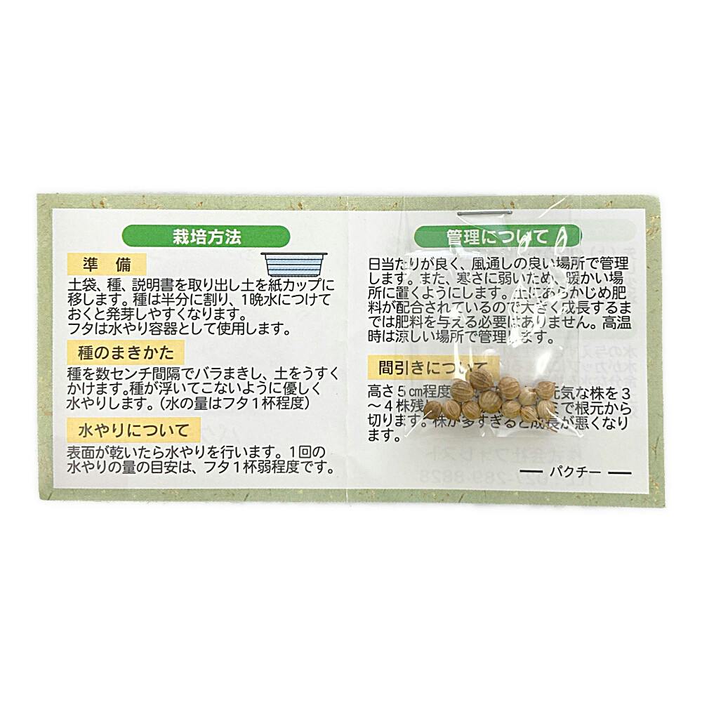 かんたんおうちキッチン パクチー | 花＆グリーン 通販