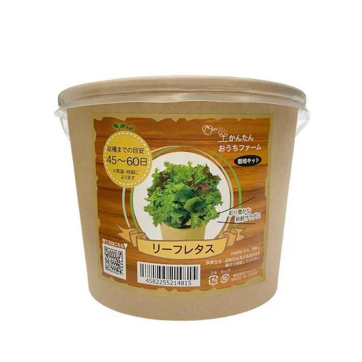 フォレスト かんたんおうちキッチン 栽培キット リーフレタス