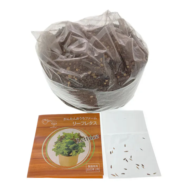 フォレスト かんたんおうちキッチン 栽培キット リーフレタス