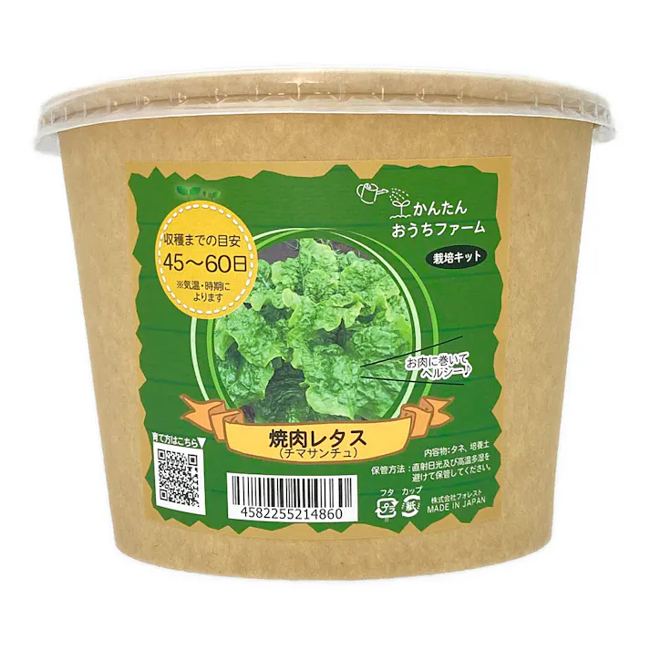 フォレスト かんたんおうちファーム 栽培キット 焼肉レタス