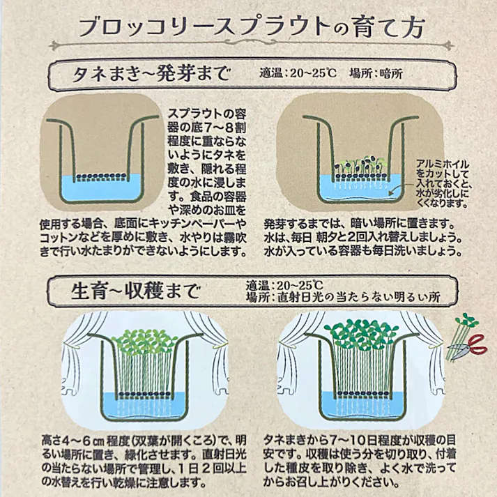ブロッコリースプラウトの種
