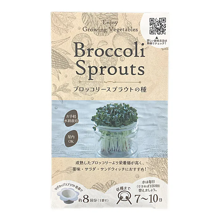 ブロッコリースプラウトの種