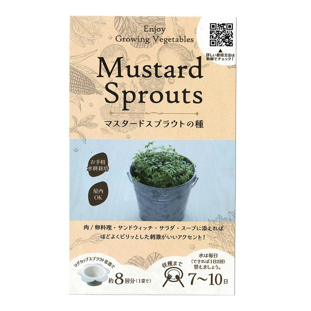 かぼちゃのちゃちゃ かぼちゃのちゃちゃちゃ | 佐伯のお菓子店 月うさぎ
