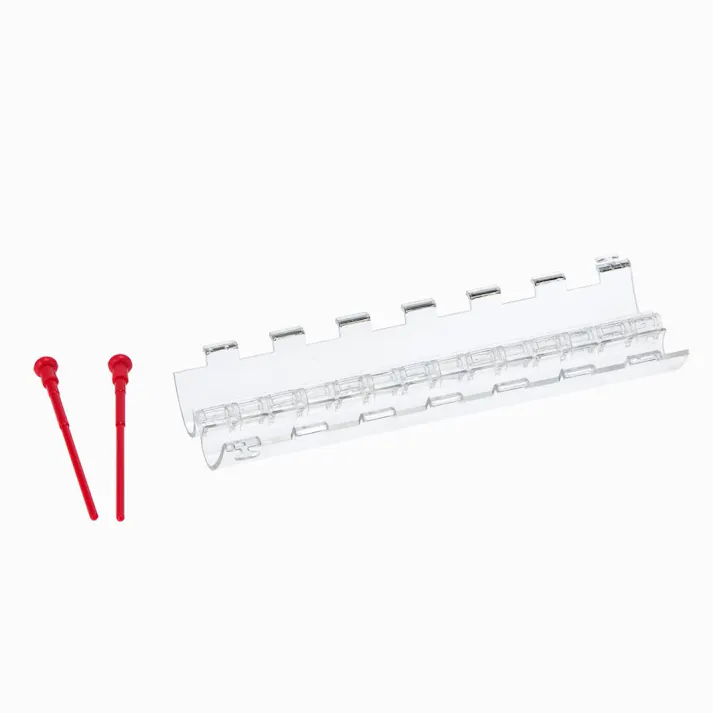 フォレスト ハートのきゅうり