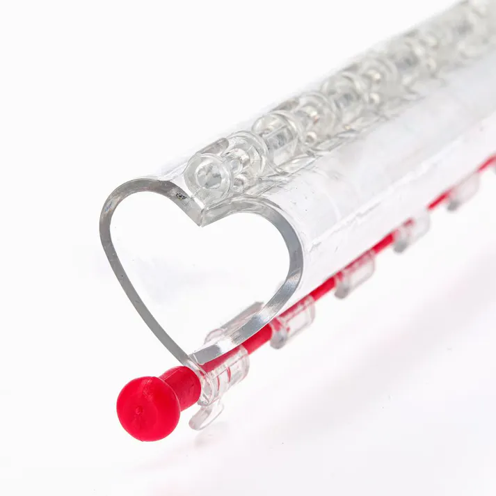 フォレスト ハートのきゅうり