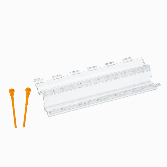 フォレスト 星のきゅうり