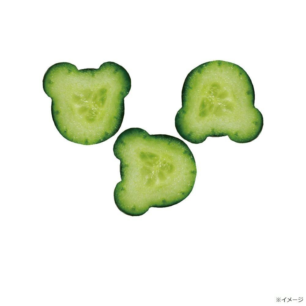 フォレスト くまのきゅうり | 鉢・プランター・花台・温室 通販