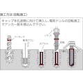 【CAINZ-DASH】日本デコラックス ケミカルアンカー　Ｒタイプ（－Ｎ）（回転及び回転打撃型）穿孔深さ７０ R-8N【別送品】