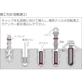 【CAINZ-DASH】日本デコラックス ケミカルアンカー　Ｒタイプ（－Ｎ）（回転及び回転打撃型）穿孔深さ９０ R-10N【別送品】