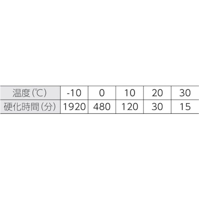 【CAINZ-DASH】日本デコラックス ケミカルアンカー　Ｒタイプ（－Ｎ）（回転及び回転打撃型）穿孔深さ９０ R-10N【別送品】