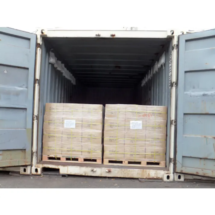 【CAINZ-DASH】三和 高性能吸湿剤 EX-10SU-12P 14g×12個入り EX-10SU-12P【別送品】