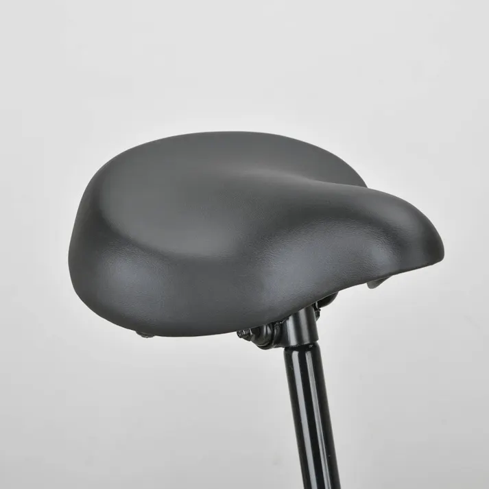 【自転車】CAPTAIN STAG eワイルダー電動 FDB206 YG-1500 マットブラック