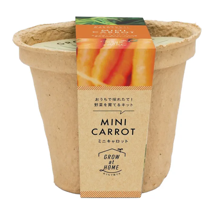 栽培キット M ミニキャロット 42486