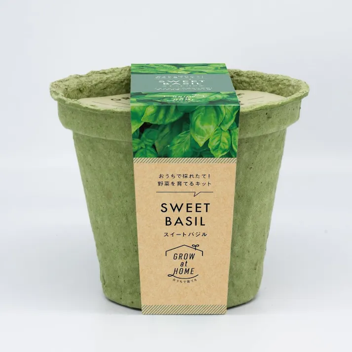 栽培キット M スイートバジル 42488