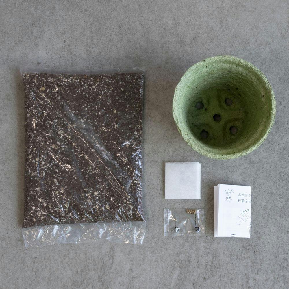 栽培キット M パクチー 42489 | 花＆グリーン 通販 | ホームセンターの