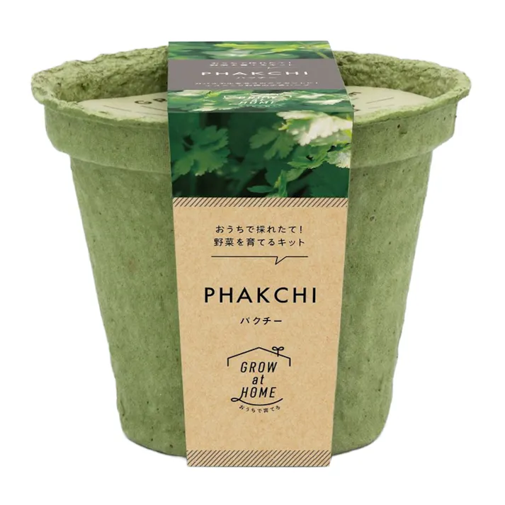 栽培キット M パクチー 42489