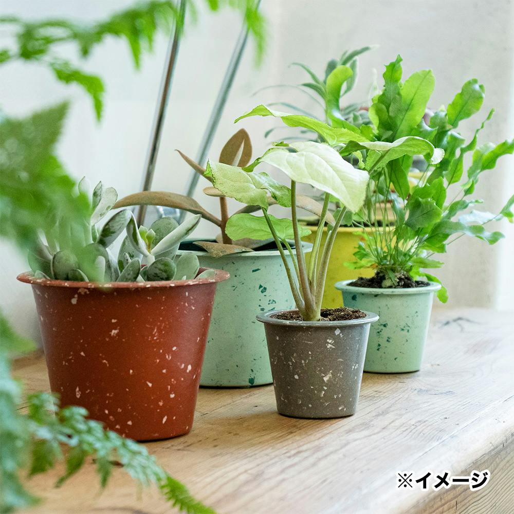 黄瓷輪花鉢 (未使用 新品同様) 黄瓷輪花鉢 (未使用 新品同様) 黄瓷輪花鉢 (未使用