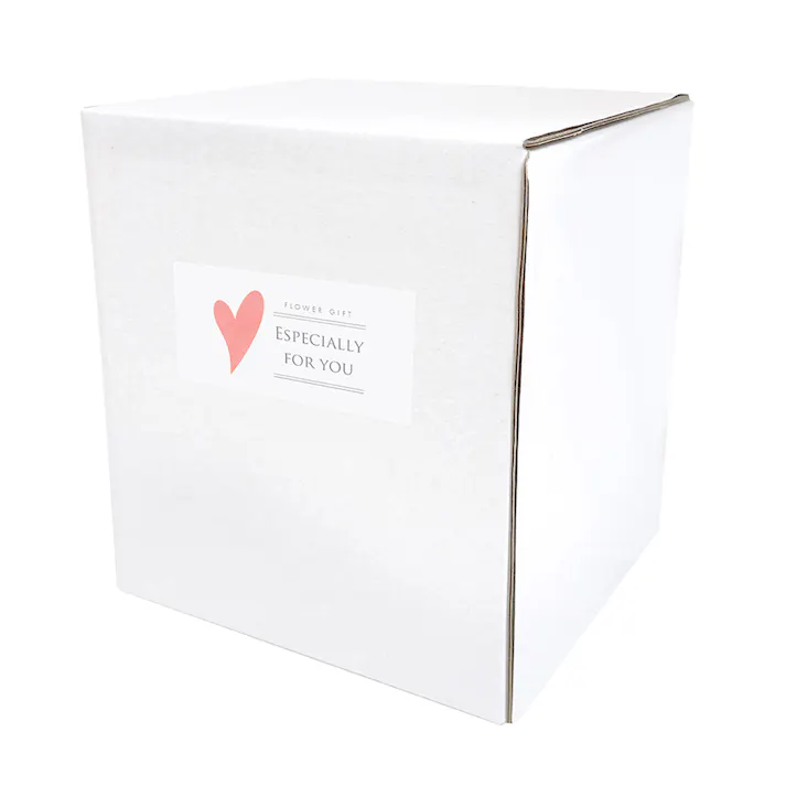 ガラスドームアレンジメントハート/レッド+ソーラ