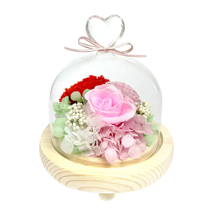 ガラスドームアレンジメントハート/レッド+ソーラ
