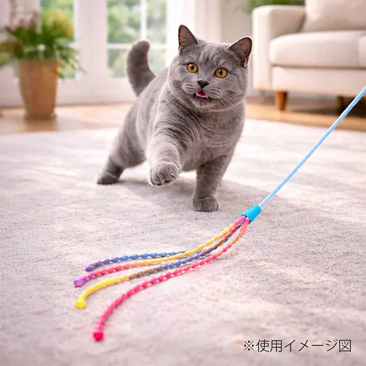 ループロッディーズ レインボーチェーン
