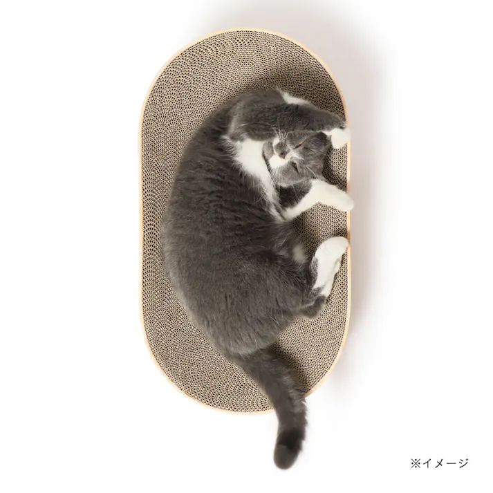 バリバリボウル オーバル ライトブラウン XL