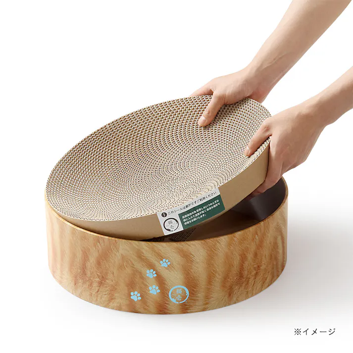 バリバリボウル 茶トラ