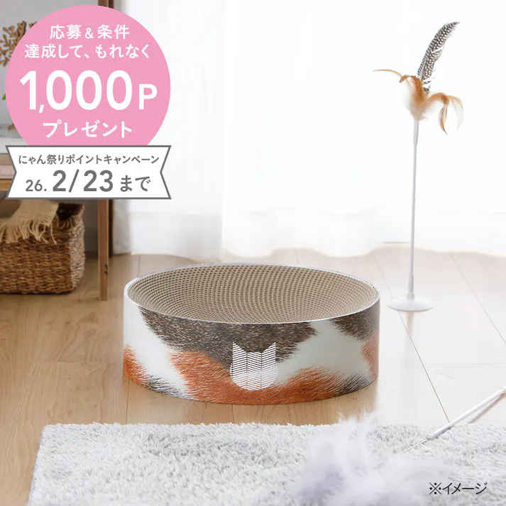 バリバリボウル 三毛猫