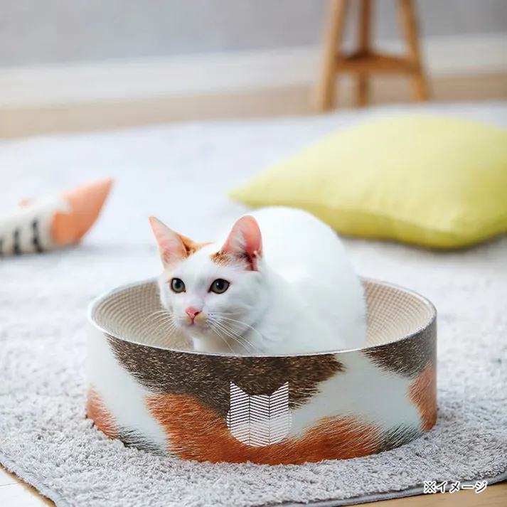 バリバリボウル 三毛猫