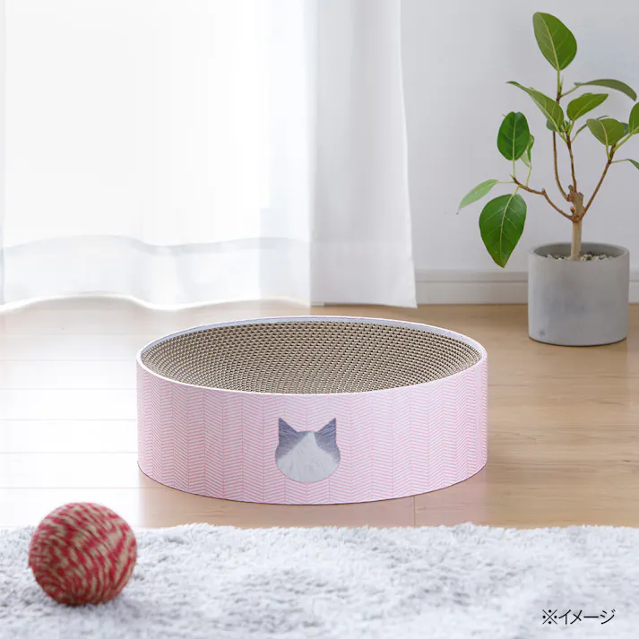 バリバリボウル ハチワレ