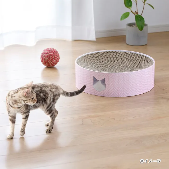 バリバリボウル ハチワレ