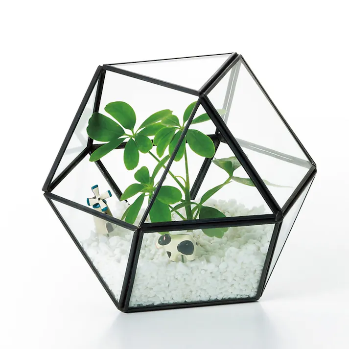 ジオメティックガラス ボックス S