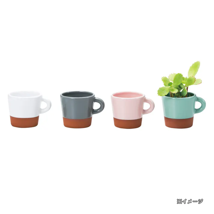 ウンカフェポット M