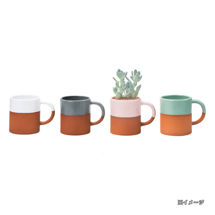ウンカフェポット L