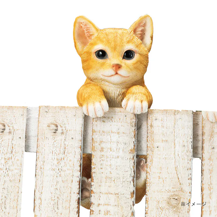 ハンギングキャット チャトラ