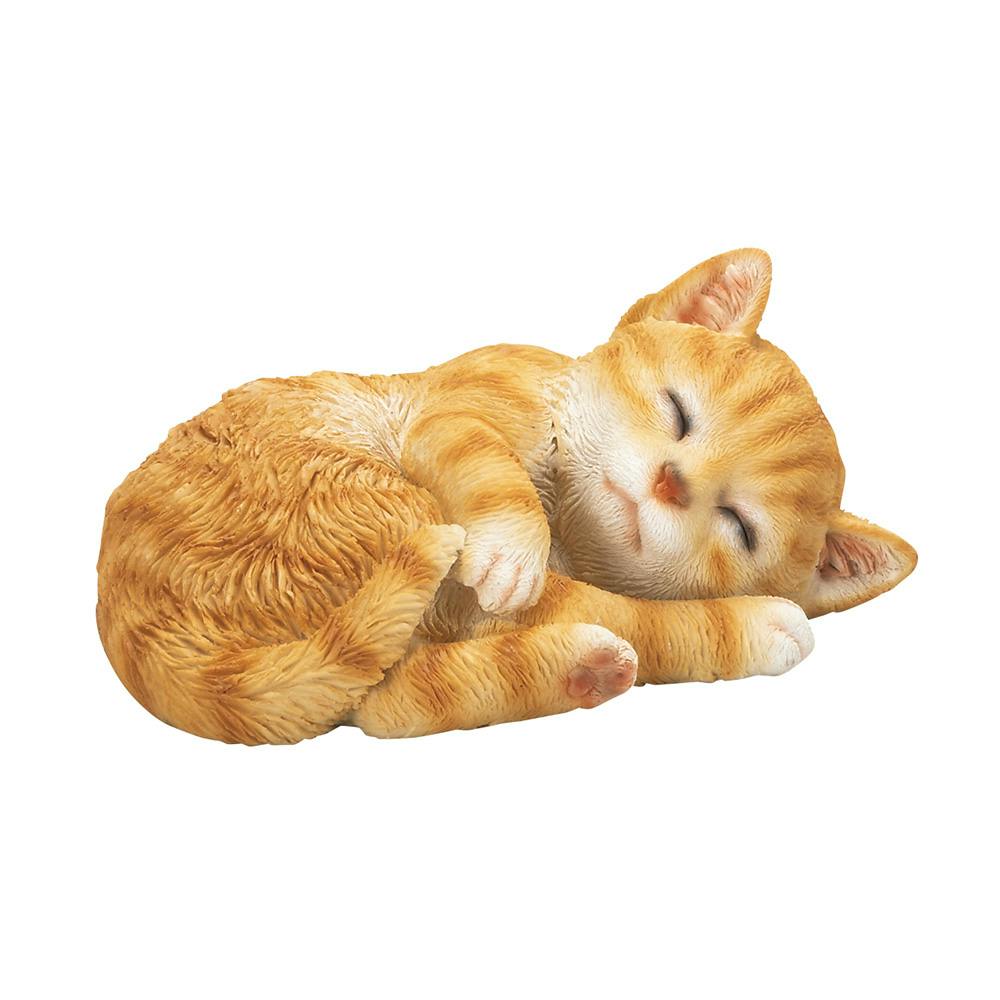 とらねこ Cinema ZX Cassette Wheel – Kink BMX
