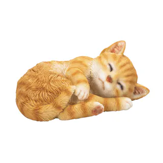 居眠り子猫 チャトラ