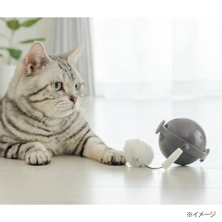 カインズ限定 交換できるローリングねこじゃらし