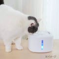 KIRA 犬猫用 自動給水器ペットファウンテン 2.5L