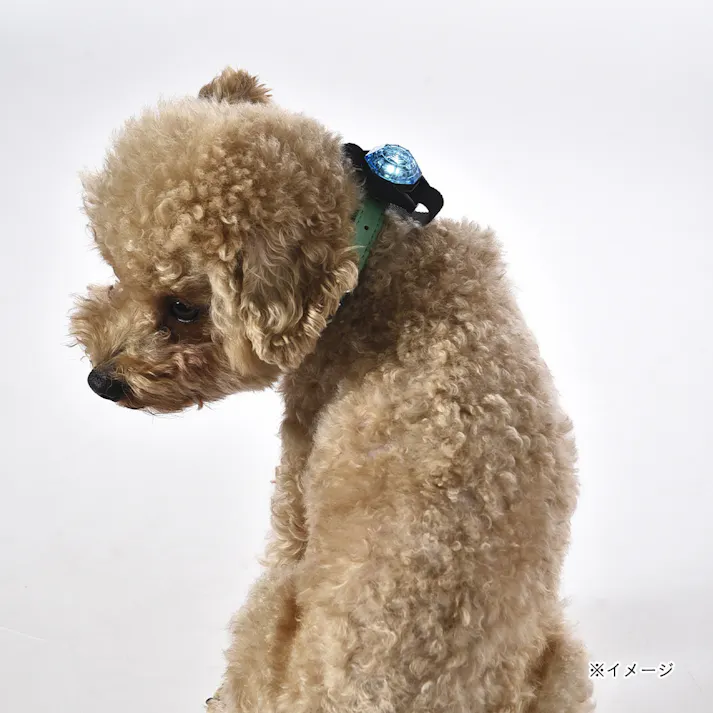 USBブリンカー LEDライト マルチベルト ブルー