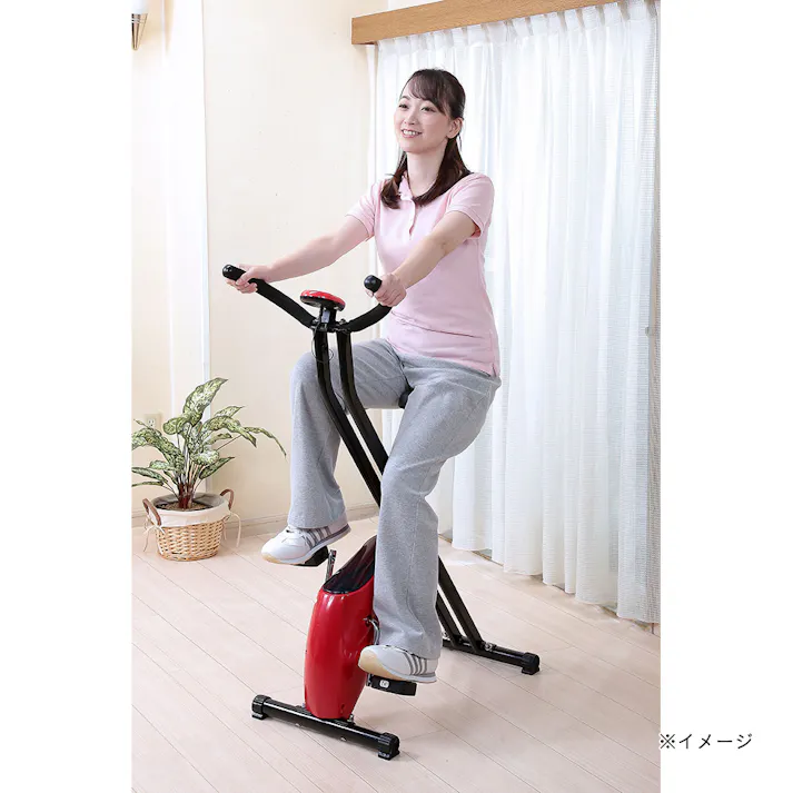 FIGHTING ROAD エアロX型 バイク TAN-211 折り畳みコンパクト収納 キャスター付き フィットネスバイク【別送品】