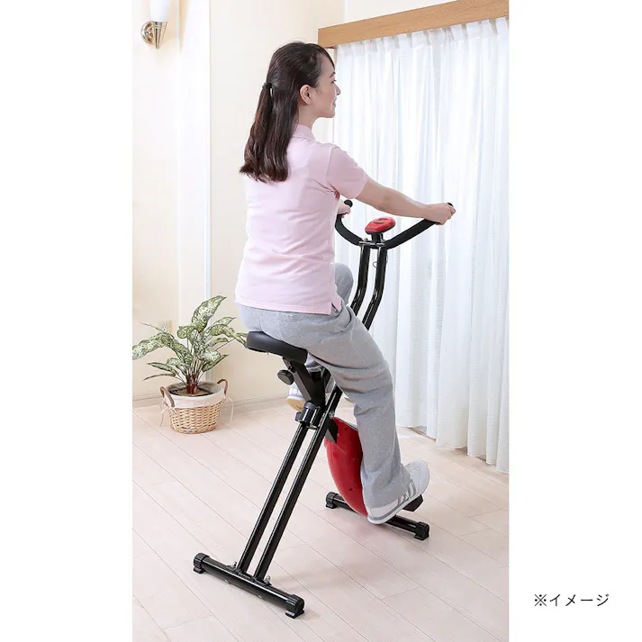 FIGHTING ROAD エアロX型 バイク TAN-211 折り畳みコンパクト収納 キャスター付き フィットネスバイク【別送品】