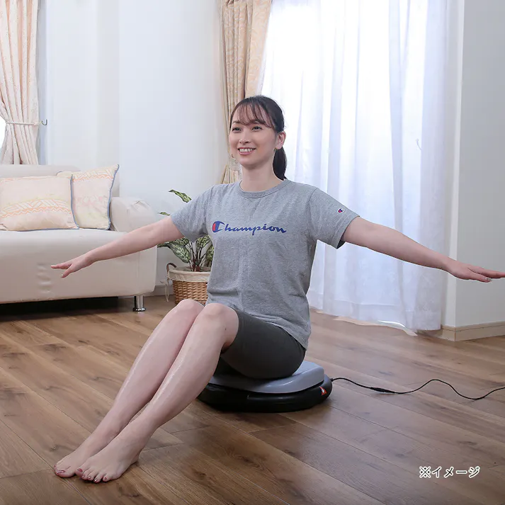 シェイプアップツイスター オートプログラム6種類搭載 左右両回転可能 トレーニング器具【別送品】