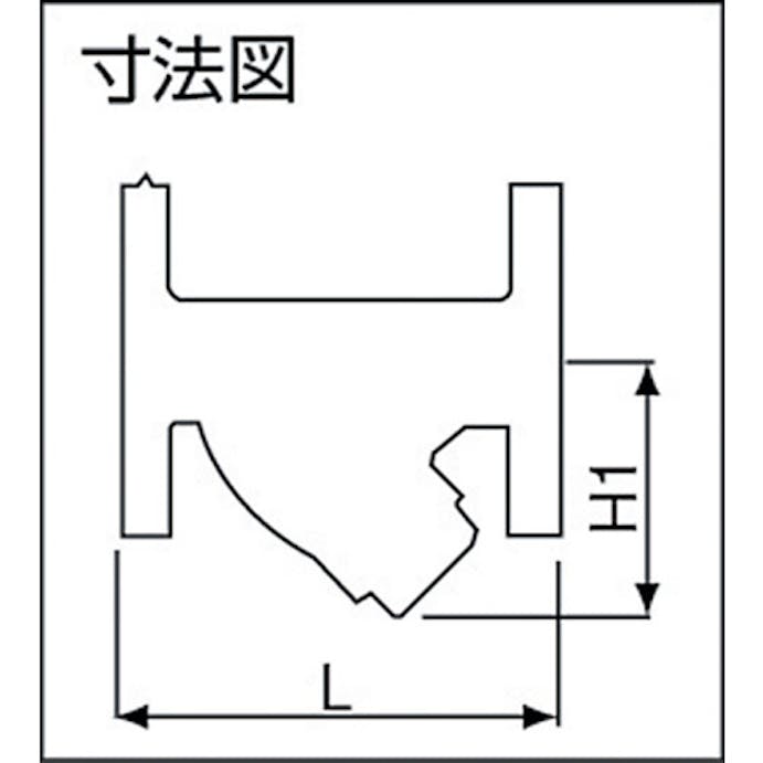 【CAINZ-DASH】ヨシタケ Ｙ形ストレーナ（８０メ）　４０Ａ【別送品】
