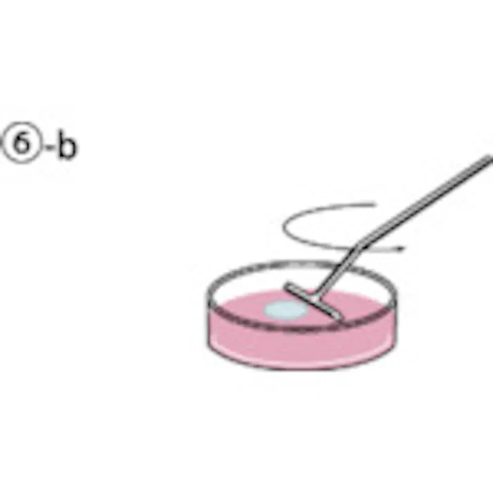 【CAINZ-DASH】サンセイ医療器材 コンラージ棒 T型 05-001【別送品】