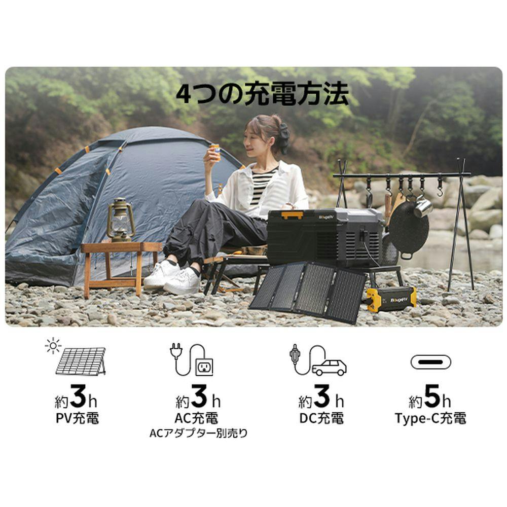 BougeRV 車載冷蔵庫用ポータブル電源 バッテリー220Wh