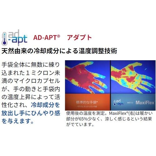 最安値定価半額【新品完全未開封正規品】神龍への願い6BOXテープ付き デュエルマスターズ DM-26 極神編 超絶vs究極 未開封BOX