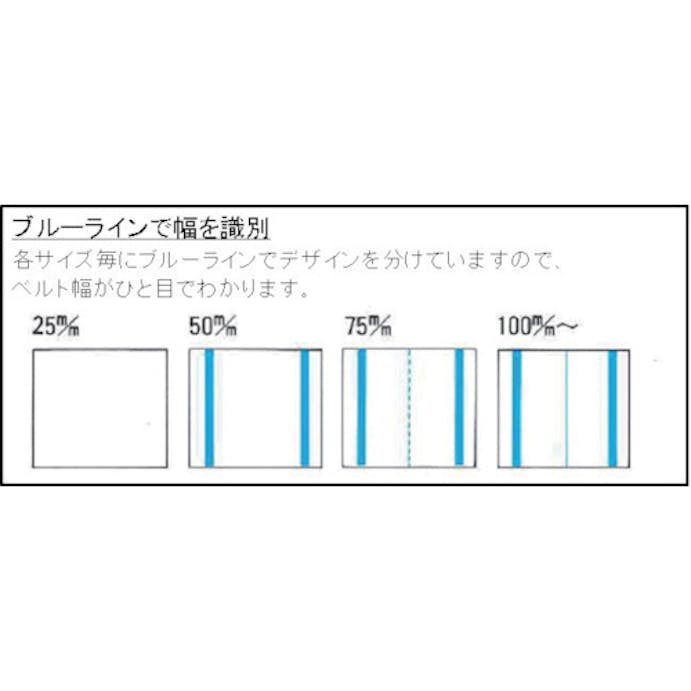 【CAINZ-DASH】テザック 耐化学薬品用スリング（ＪＩＳ２等級・両端アイ形）２５ｍｍ幅×１．５ｍ PP2E25X1.5【別送品】