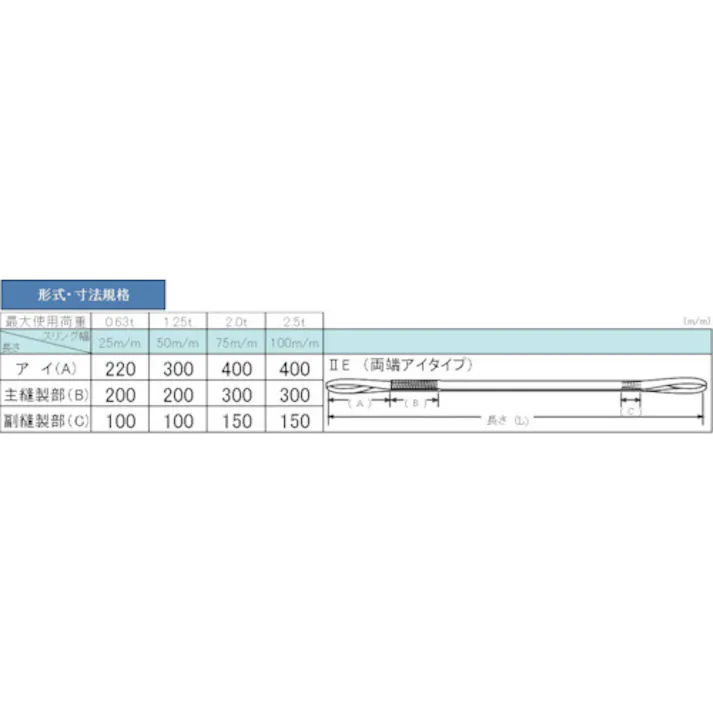 【CAINZ-DASH】テザック 耐化学薬品用スリング(JIS2等級・両端アイ形)25mm幅×2m PP2E25X2【別送品】