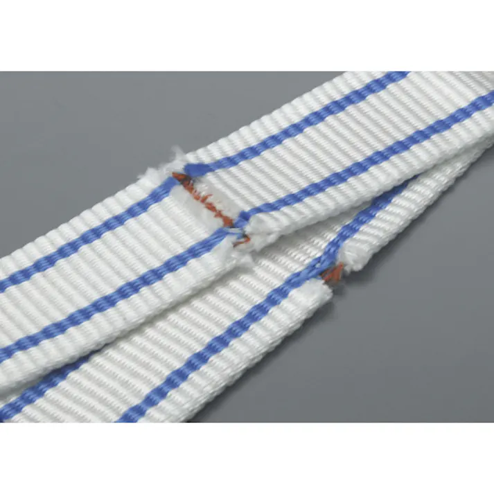 【CAINZ-DASH】テザック 耐化学薬品用スリング(JIS2等級・両端アイ形)25mm幅×4.5m PP2E25X4.5【別送品】