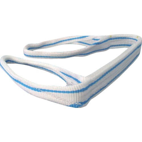 【CAINZ-DASH】テザック 耐化学薬品用スリング（ＪＩＳ２等級・両端アイ形）５０ｍｍ幅×２．５ｍ PP2E50X2.5【別送品】